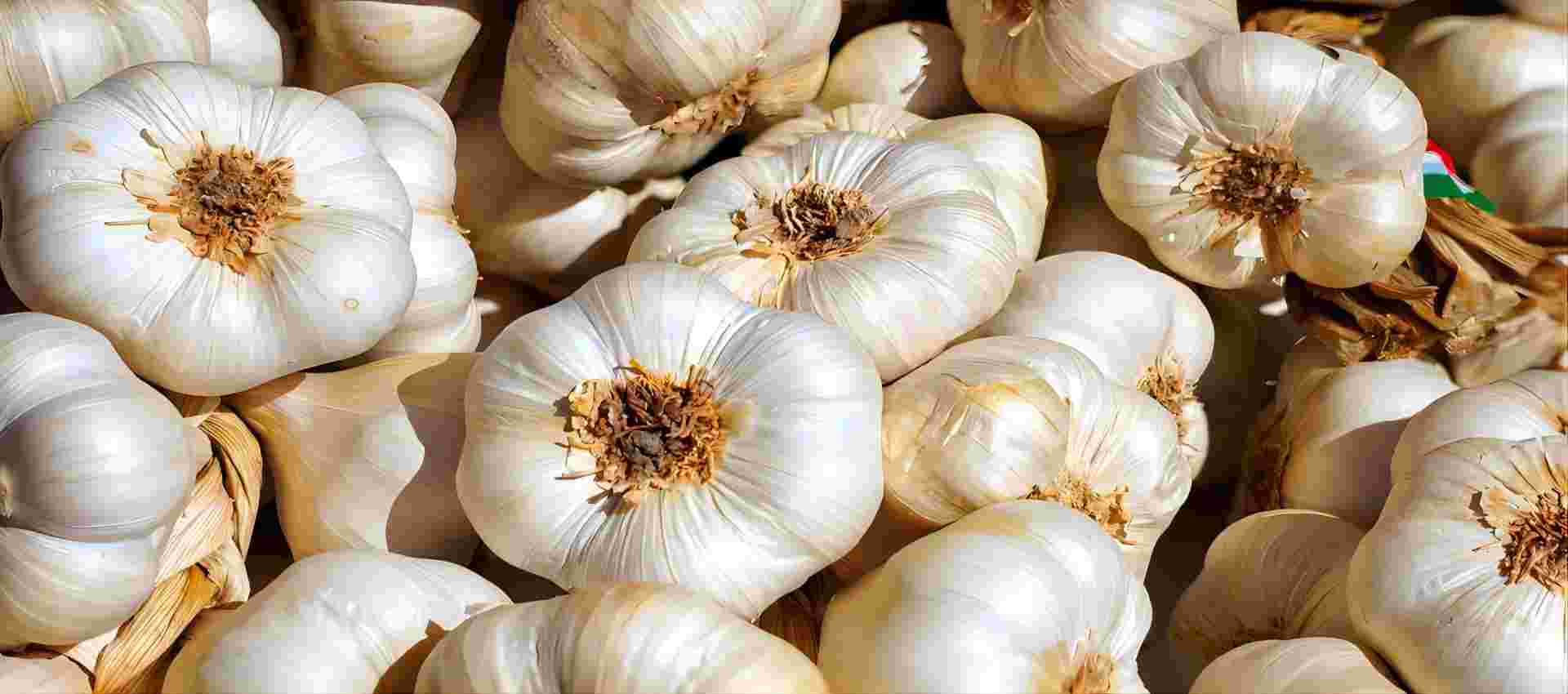Garlic Products